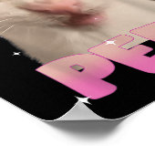 Overweeg je broek plassen Gekke kat meme Grappige Poster (Hoek)