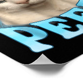 Overweeg je broek plassen grappige freak kat meme poster (Hoek)