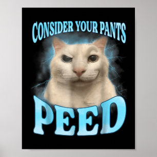 Overweeg je broek plassen grappige freak kat meme poster