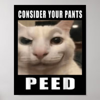 Overweeg uw broek plassen Gekke kat meme Mannen vr