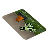 Overwegen van de situatie magneet (Rechterzijde)