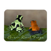 Overwegen van de situatie magneet (Horizontaal)