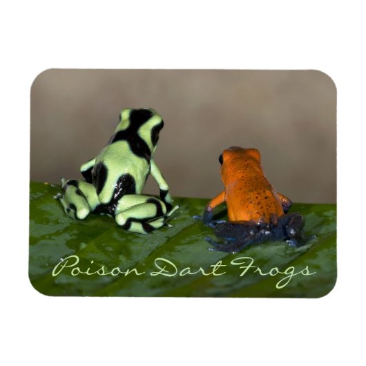 Overwegen van de situatie magneet (Horizontaal)