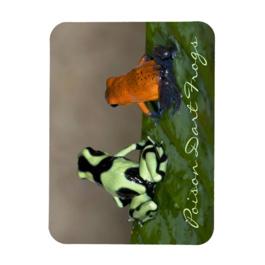 Overwegen van de situatie magneet (Verticaal)