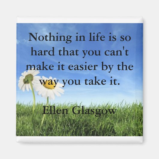 Overwinnen mislukking koelkast magneet (Voorkant)