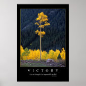 Overwinning Poster (Voorkant)