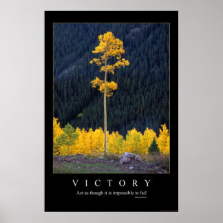 Overwinning Poster