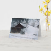 Overwinteren in Eldora, Colorado Kaart (Gele Bloem)