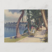 Overwinteren in Frankrijk, 1908 Briefkaart (Voorkant)