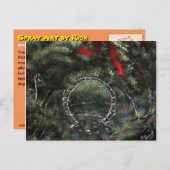 Overwoekerd en vergeten briefkaart (Voorkant / Achterkant)