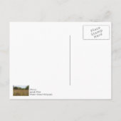 Overwoekerde Prairie Briefkaart (Achterkant)
