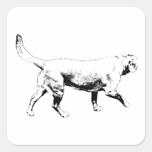 overzicht stap vierkante sticker