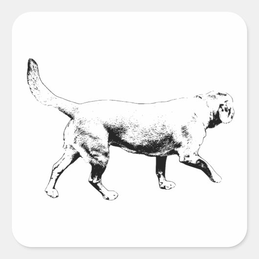 overzicht stap vierkante sticker (Voorkant)