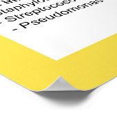 Overzicht van bacteriële infecties (Hoek)