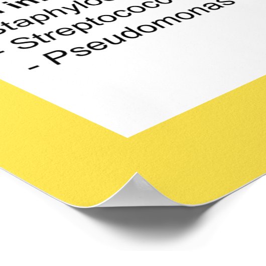 Overzicht van bacteriële infecties (Hoek)