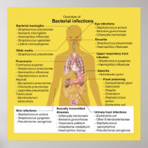 Overzicht van bacteriële infecties
