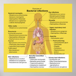 Overzicht van bacteriële infecties