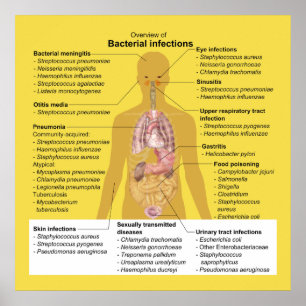 Overzicht van bacteriële infecties