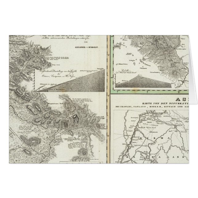 Overzicht van de beter bekende vertakking (Voorkant Horizontaal)