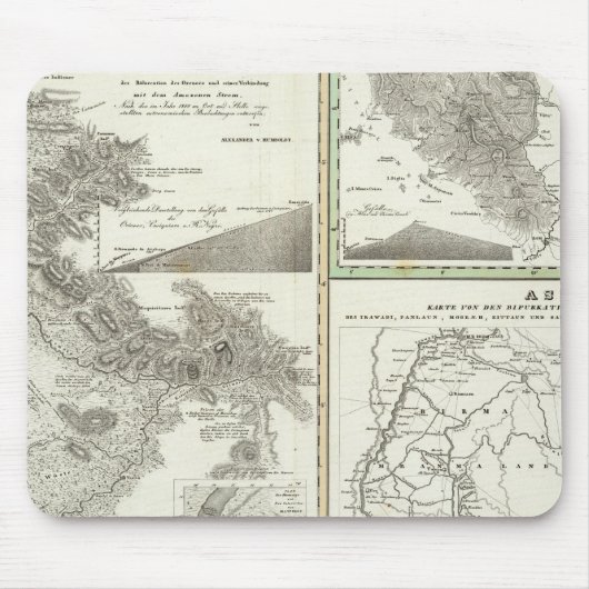 Overzicht van de beter bekende vertakking muismat (Voorkant)