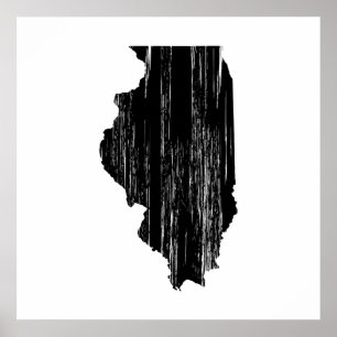 Overzicht van de noodtoestand van de staat Illinoi