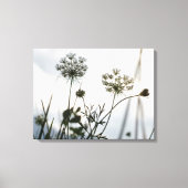 Overzicht van de Umbels Flowers - Floral Art Photo Canvas Afdruk (Voorkant)