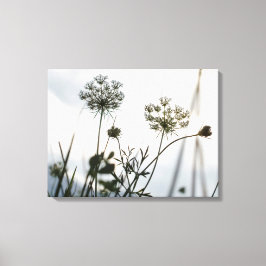 Overzicht van de Umbels Flowers - Floral Art Photo Canvas Afdruk