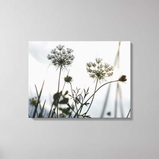 Overzicht van de Umbels Flowers - Floral Art Photo Canvas Afdruk (Voorkant)