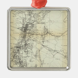 Overzicht van het district Washoe Metalen Ornament