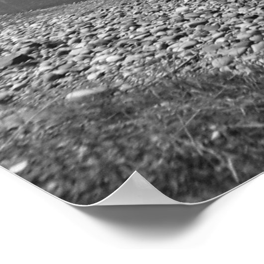 Overzicht van het nationale park Grand Teton (Hoek)