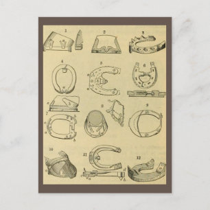  overzicht van soorten hoefijzers briefkaart