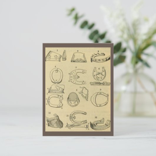  overzicht van soorten hoefijzers briefkaart (Staand voorkant)