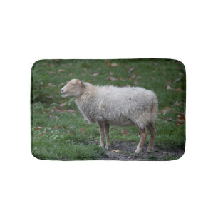 Ovis aries badmat