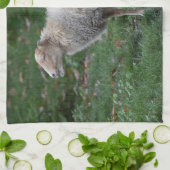 Ovis aries theedoek (Gevouwen)