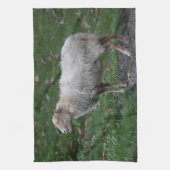 Ovis aries theedoek (Verticaal)