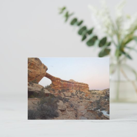 Owachomobrug bij natuurbruggen briefkaart (Staand voorkant)