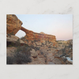 Owachomobrug bij natuurbruggen briefkaart