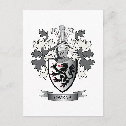 Owens Family Crest Coat of Arms Briefkaart (Voorkant)