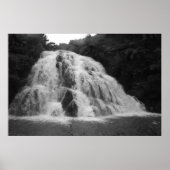 Owharoa-Herfsten in zwart-wit Poster (Voorkant)