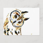 Owl 1 briefkaart (Voorkant)