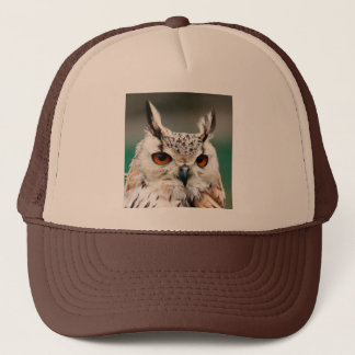 Owl 1 trucker pet