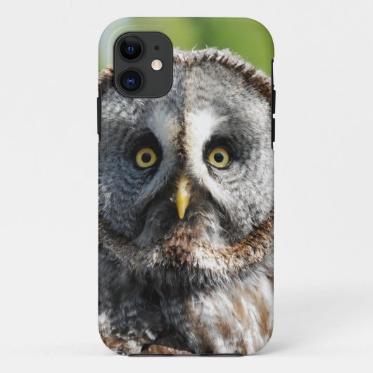 Owl_20180219_by_JAMFoto Case-Mate iPhone Case (Achterkant)