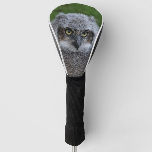 Owl_2019001 Golfheadcover (Voorkant)