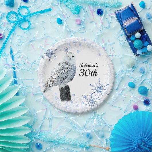 Owl 30th Birthday Party Papieren Bordje (Feest)