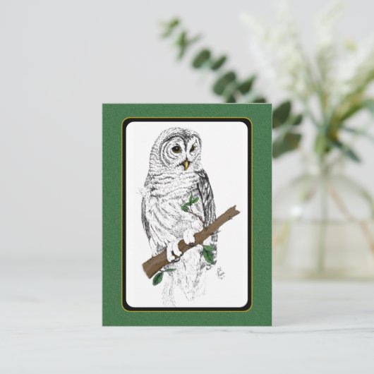 Owl 3 Briefkaart (Staand voorkant)
