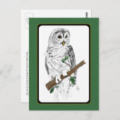 Owl 3 Briefkaart (Voorkant / Achterkant)
