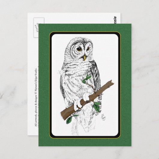 Owl 3 Briefkaart (Voorkant / Achterkant)