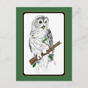 Owl 3 Briefkaart