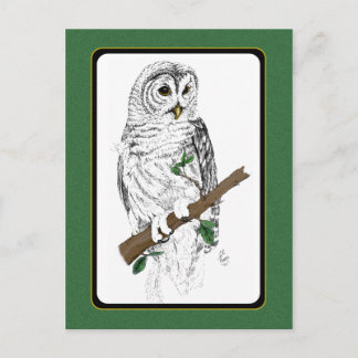 Owl 3 Briefkaart