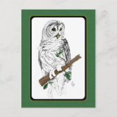 Owl 3 Briefkaart (Voorkant)